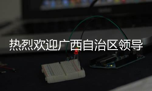 熱烈歡迎廣西自治區領導蒞臨富軒門窗總部參觀考察！
