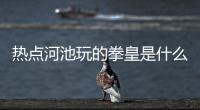 熱點河池玩的拳皇是什么版本以及拳王河池打包視頻的分享