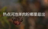 熱點河池羊肉粉哪里最出名以及河池羊肉姐姐的分享