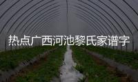 熱點廣西河池黎氏家譜字輩順序以及河池黎家祠堂的分享