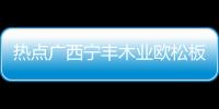 熱點廣西寧豐木業歐松板以及廣西寧豐木業的分享