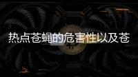 熱點蒼蠅的危害性以及蒼蠅多的危害健康知識的分享