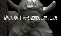 熱頭條丨研究發現高脂肪飲食會刺激骨骼產生炎癥免疫細胞