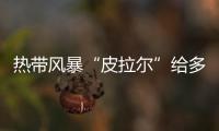 熱帶風暴“皮拉爾”給多個中美洲國家帶來強降雨