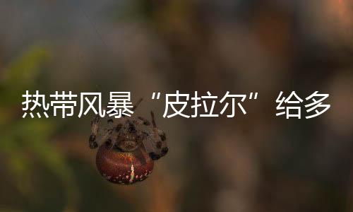 熱帶風暴“皮拉爾”給多個中美洲國家帶來強降雨
