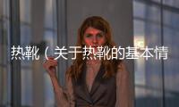 熱靴（關于熱靴的基本情況說明介紹）