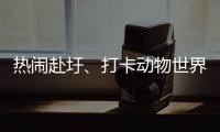 熱鬧赴圩、打卡動(dòng)物世界、體驗(yàn)溫泉...秋天出游，就要這么愜意！