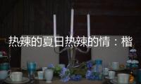 熱辣的夏日熱辣的情：楷模家具第六屆納涼晚會精彩綻現(xiàn)