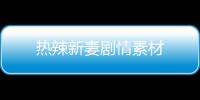 熱辣新妻劇情素材