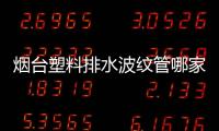 煙臺塑料排水波紋管哪家好