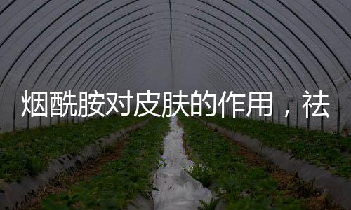 煙酰胺對皮膚的作用，祛斑美白適合油性皮膚
