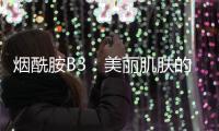 煙酰胺B3：美麗肌膚的秘密！
