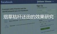 煙草秸桿還田的效果研究初報
