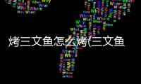 烤三文魚怎么烤(三文魚頭怎么烤)