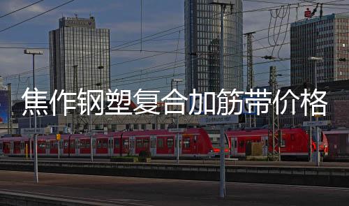 焦作鋼塑復(fù)合加筋帶價格優(yōu)惠