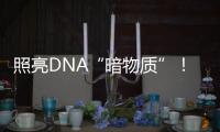 照亮DNA“暗物質”！《細胞》發文繪制人類單細胞染色質圖譜