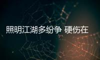 照明江湖多紛爭 硬傷在何處？