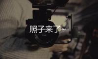 照子來了~