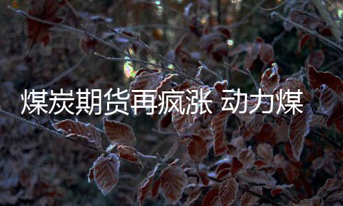 煤炭期貨再瘋漲 動力煤盤中突破千元大關(guān)
