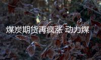 煤炭期貨再瘋漲 動(dòng)力煤盤中突破千元大關(guān)