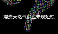 煤炭天然氣供應未現短缺