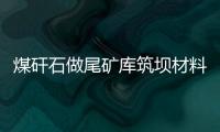 煤矸石做尾礦庫筑壩材料的研究與應用