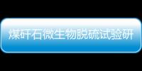 煤矸石微生物脫硫試驗研究