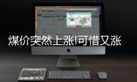 煤價突然上漲!可惜又漲不了幾天!