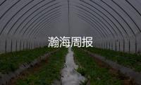 瀚海周報
