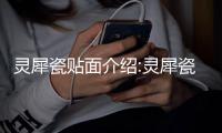 靈犀瓷貼面介紹:靈犀瓷特點、硬度、價格公布
