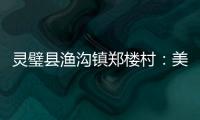 靈璧縣漁溝鎮(zhèn)鄭樓村：美味老年餐 服務(wù)心貼心