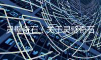 靈璧奇石（關于靈璧奇石的基本情況說明介紹）