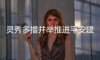 靈秀多措并舉推進(jìn)平安建設(shè)