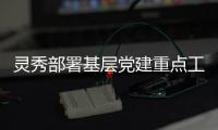 靈秀部署基層黨建重點工作