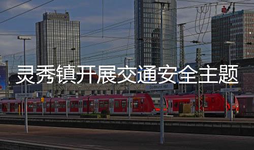 靈秀鎮(zhèn)開(kāi)展交通安全主題宣傳