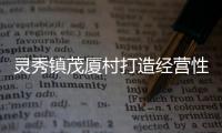 靈秀鎮(zhèn)茂廈村打造經(jīng)營性停車場 村財年增收近8萬元
