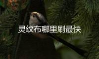 靈紋布哪里刷最快