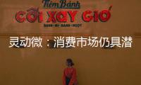 靈動微：消費市場仍具潛力，車規芯片規劃穩步推進