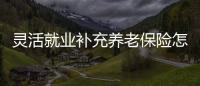 靈活就業補充養老保險怎么交