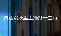 靈活跳躍塵土揚打一生肖動物數字，最新詩意解釋落實