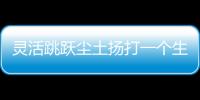 靈活跳躍塵土揚打一個生肖，答案解析落實