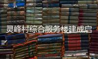 靈峰村綜合服務(wù)樓建成啟用