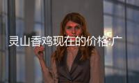 靈山香雞現在的價格:廣西靈山香雞