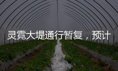 靈霓大堤通行暫復，預計今晚將再次封道