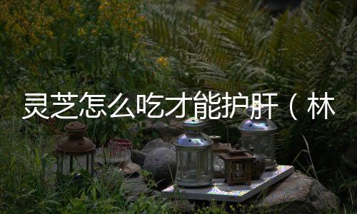 靈芝怎么吃才能護肝（林芝怎么吃）