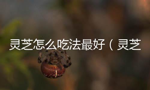 靈芝怎么吃法最好（靈芝怎么吃法）