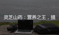 靈芝山藥：營養(yǎng)之王，提升免疫力，滋補(bǔ)強(qiáng)身