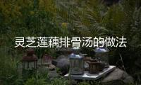 靈芝蓮藕排骨湯的做法