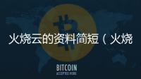 火燒云的資料簡(jiǎn)短（火燒云的資料）