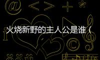 火燒新野的主人公是誰（火燒新野）